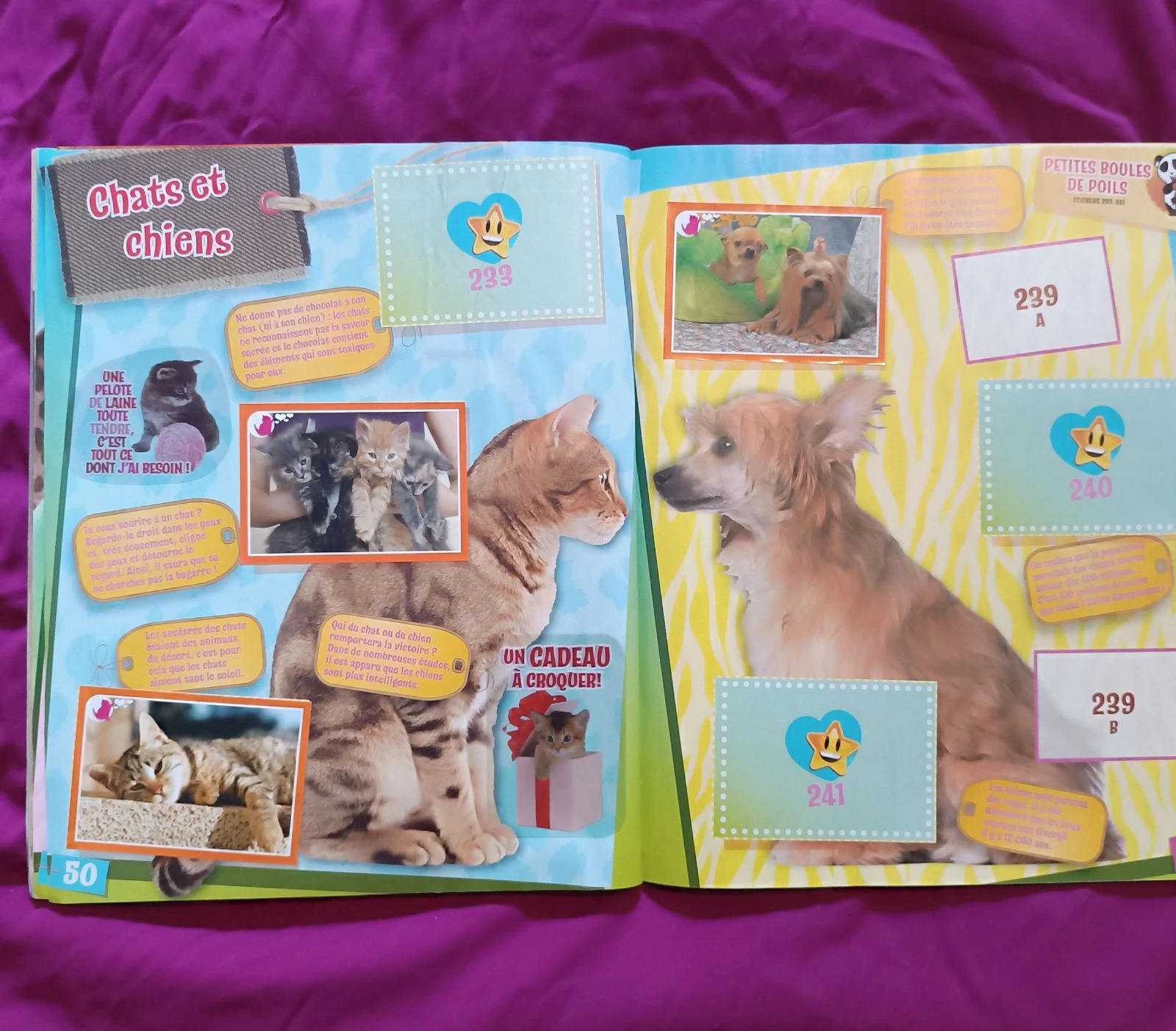 Panini album animals – photo 5